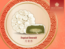 Load image into Gallery viewer, Tropical Emerald (SG)