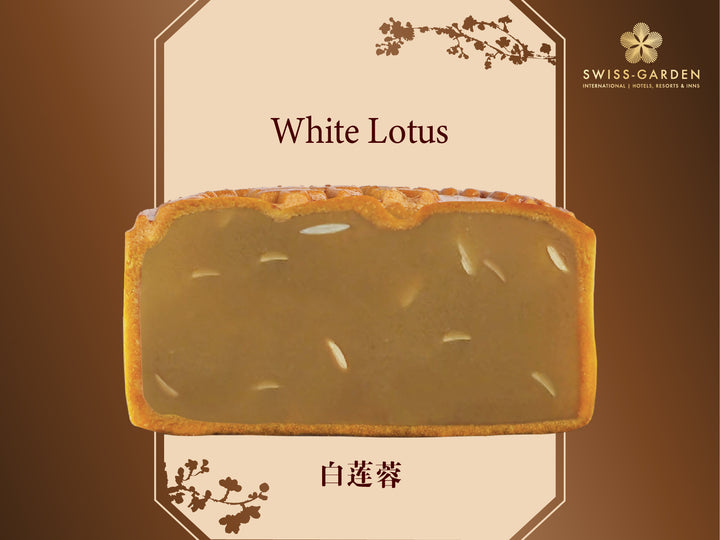 White Lotus (SG)