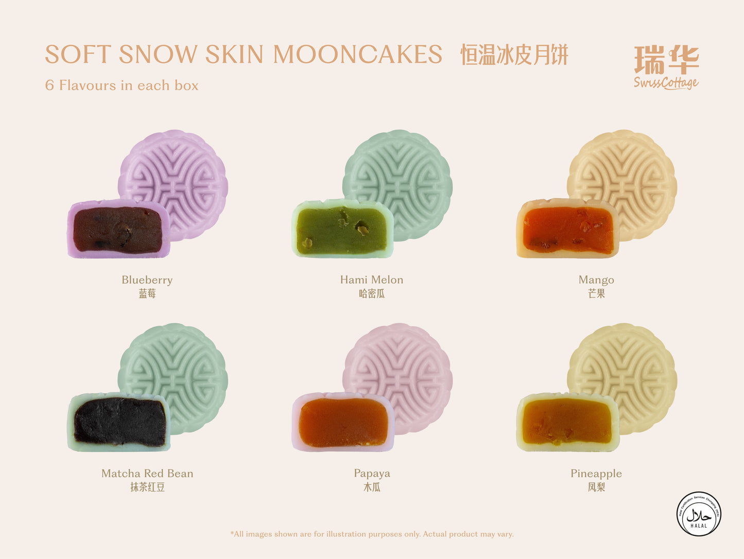 Soft Snow Skin Mooncakes (6 Assorted Flavors)
